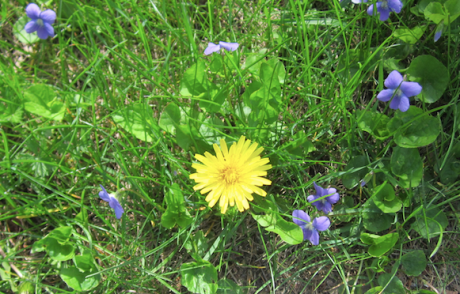 Capture d’écran 2017-05-27 à 22.15.11.png