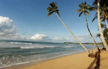 capture d_écran, le 2019-01-14 à 16.52.57